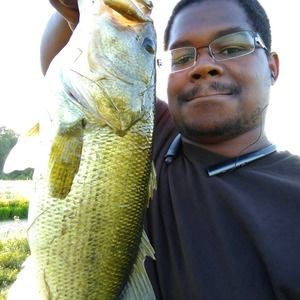 Meet your Posher, Ricky